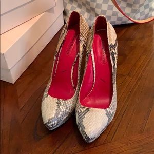Cesare paciotti snake skin pumps